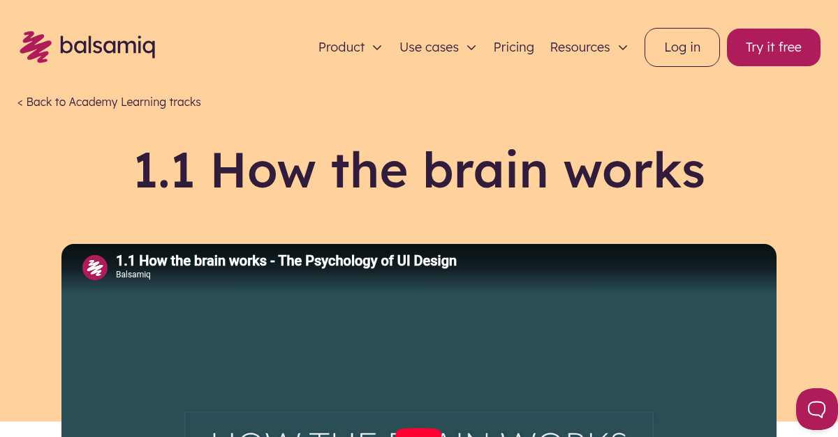 1.1 How the brain works